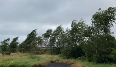 Status Yellow wind warning issued for Ireland