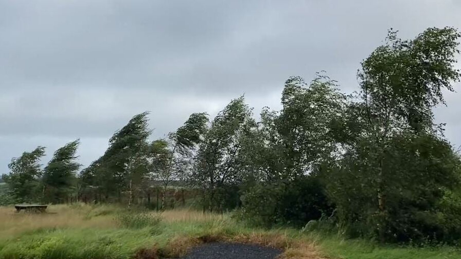 Status Yellow wind warning issued for Ireland