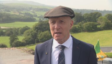 Profits at Healy-Rae's property firm exceeded €1m in 2025