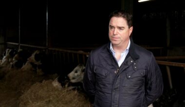 IFA taking 'reckless' stance in Bord Bia dispute