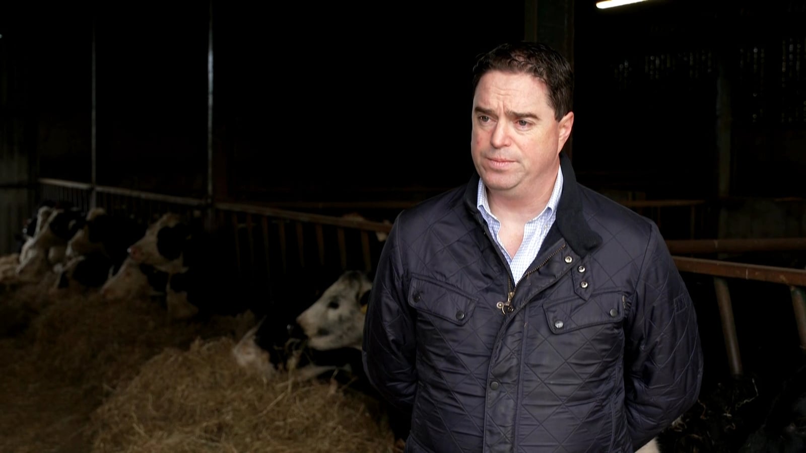 IFA taking 'reckless' stance in Bord Bia dispute