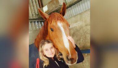 Minister, HSE chief issue apology to Sainsbury family