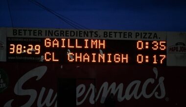 Kilkenny just 'gave up' against Galway, claims Daly