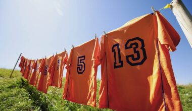 Where have all the GAA players gone?