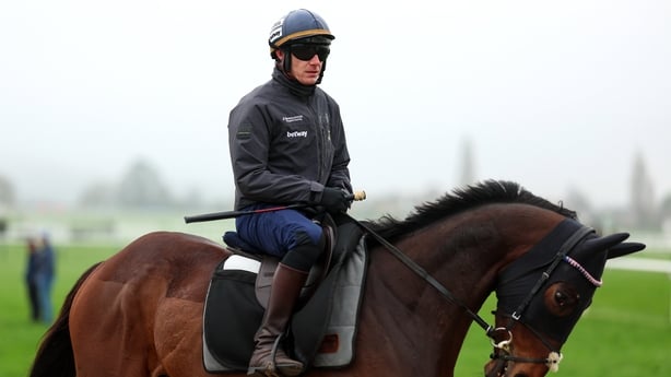 9 March 2026: Kopek Des Bordes, with Paul Townend up, on the gallops ahead of the 2026 Cheltenham Racing Festival at Prestbury Park in Cheltenham, England. Photo by Harry Murphy/Sportsfile