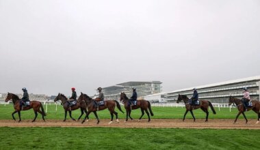 Cheltenham roar returns, festival battles falling crowds