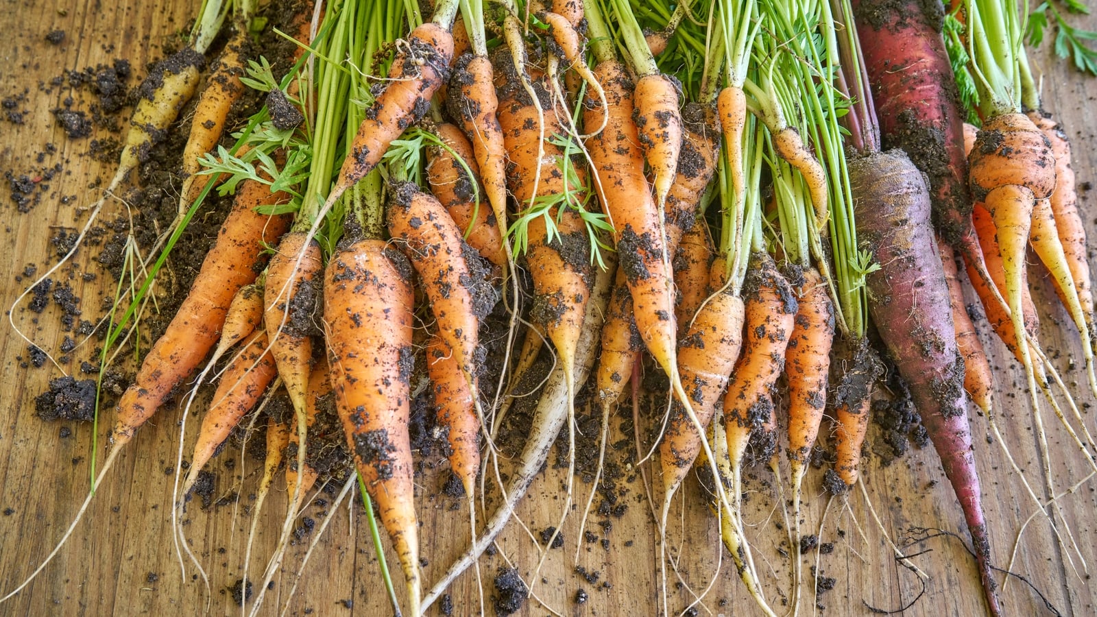 Up to 45 jobs at risk at Kilkenny carrot producer
