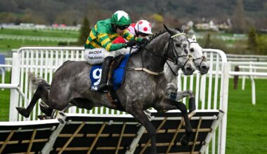 Double for McManus in handicaps