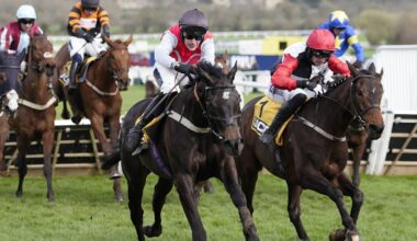 Outsider Apolon De Charnie lands Triumph Hurdle