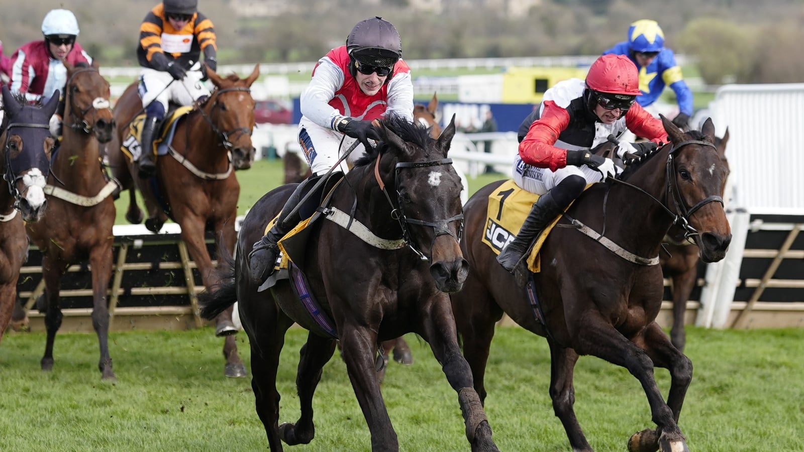 Outsider Apolon De Charnie lands Triumph Hurdle