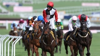 CHELTENHAM, ENGLAND - MARCH 13: Apolon De Charnie ridden by Patrick Mullins celebrates landing the JCB Triumph Hurdle during day four of the 2026 Cheltenham Racing Festival at Prestbury Park in Cheltenham, England. (Photo by Michael Steele/Getty Images)
