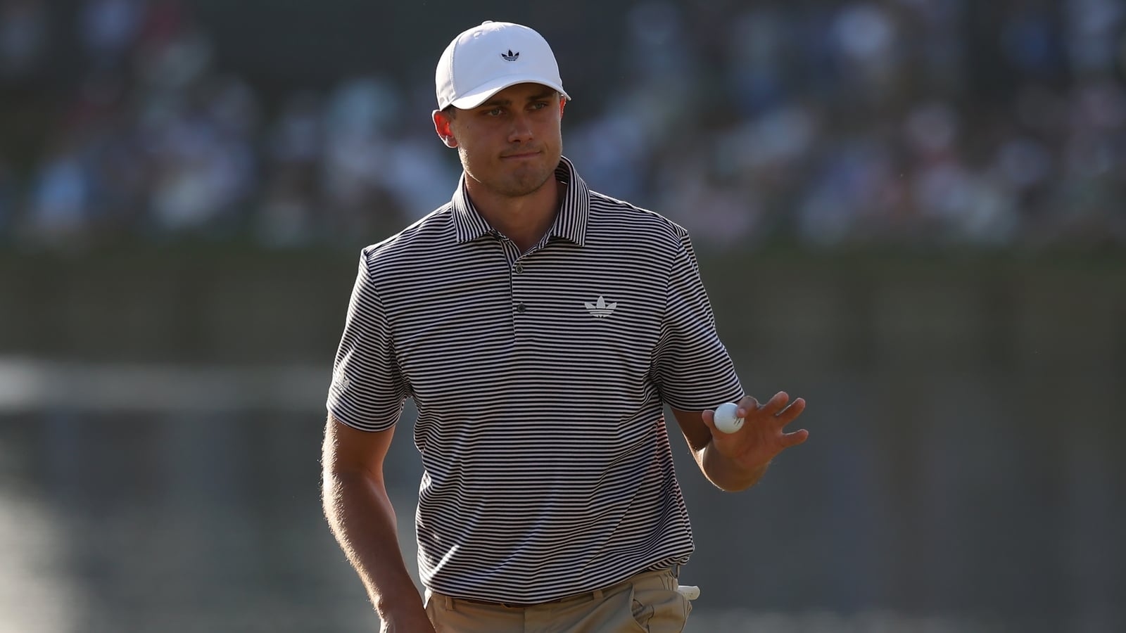 Aberg tames Sawgrass as battling McIlroy makes cut