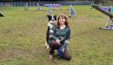 Ireland's top agility dog hits 'paws' on her career