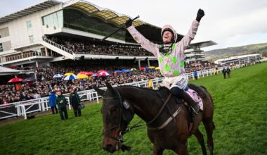 Crowds flock to see Gold Cup hero Gaelic Warrior