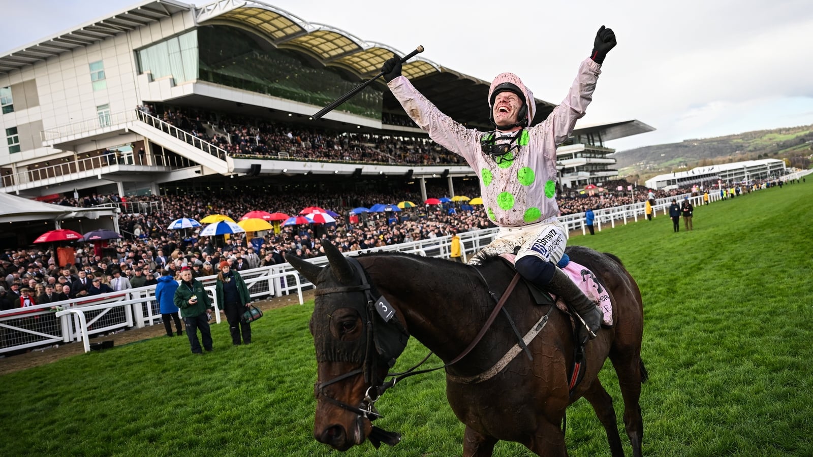 Crowds flock to see Gold Cup hero Gaelic Warrior
