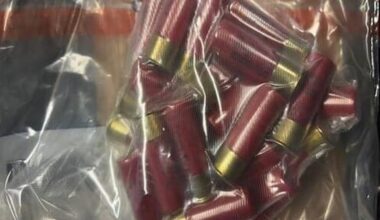 Man arrested as drugs, ammunition seized in north Dublin