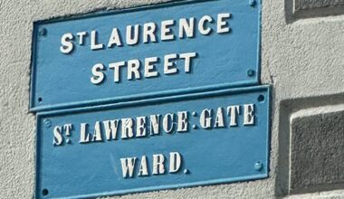 Man, 20s, in critical condition after Drogheda assault