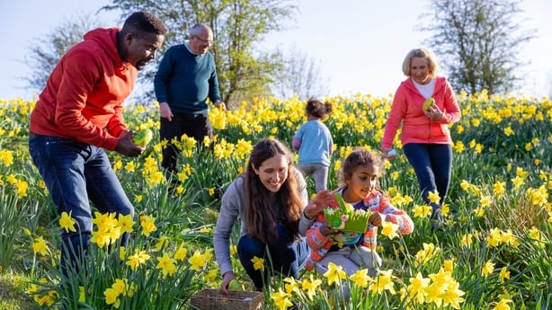 family easter egg hunt