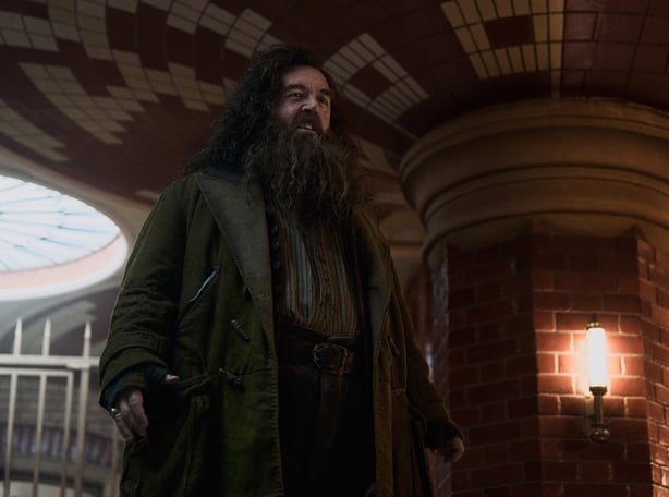 Nick Frost as Rubeus Hagrid