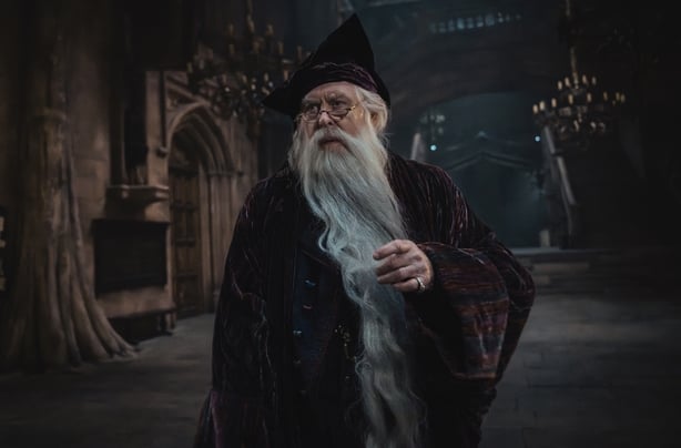 Actor who plays popular wizard in Harry Potter