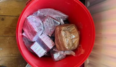 Two arrested after €1.5m cannabis seizure in Dublin