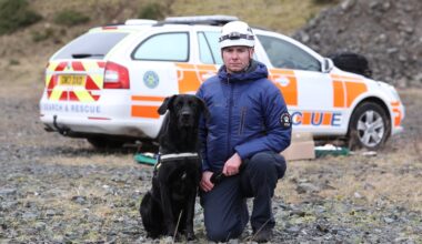 Four teenagers charged over assault on man and rescue dog