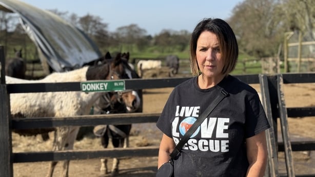 Martina Kenny at My Lovely Horse Rescue