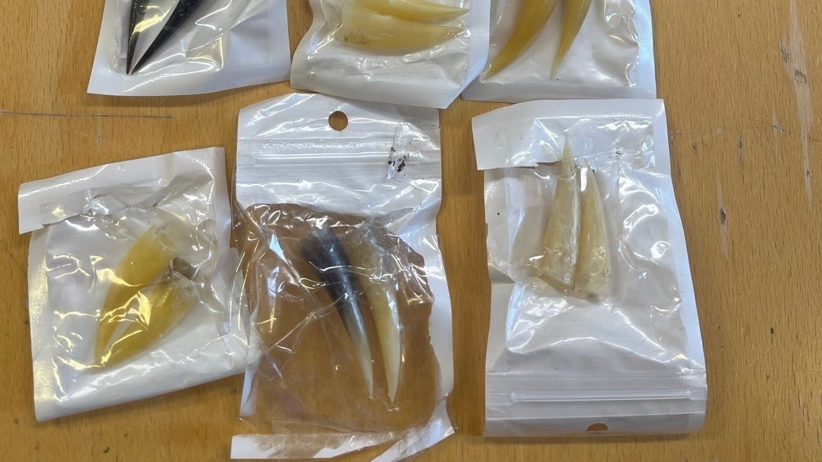 Items linked to cock fighting seized in Tipperary