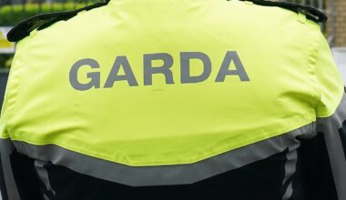 AGSI calls for safeguards to deal with social media abuse