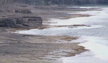 Bodies of two anglers recovered from water in Co Clare