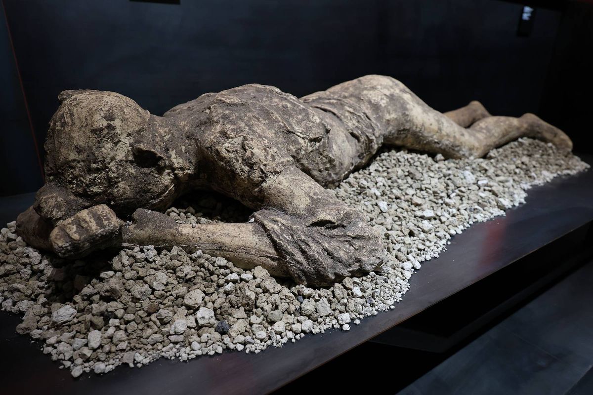 A human cast of a victim of the eruption of Vesuvius in 79 AD, 