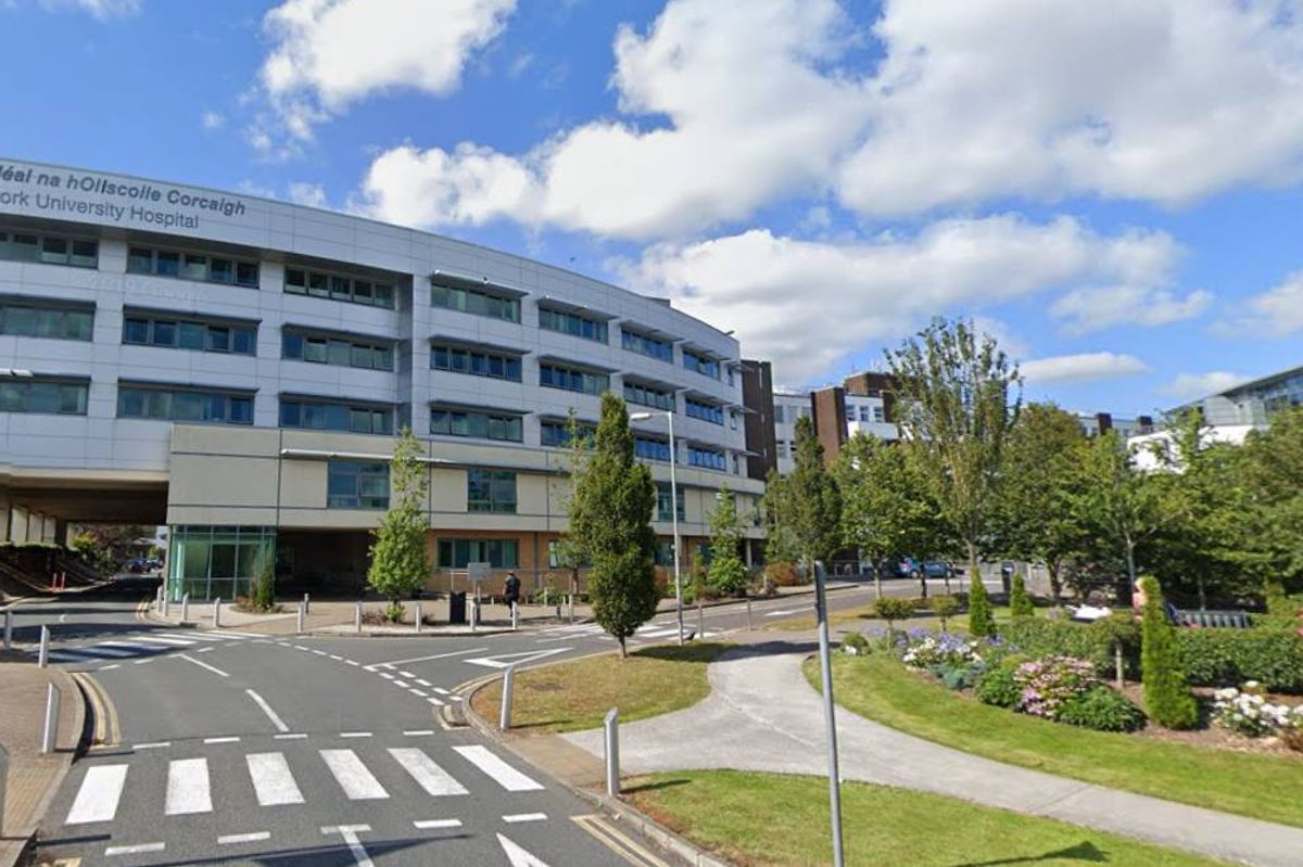 An image of a modern, multi-story building with numerous glass windows, situated in an urban setting with a clear blue sky and scattered clouds. The building is flanked by a paved road with a pedestrian crossing and greenery, including trees and grass.