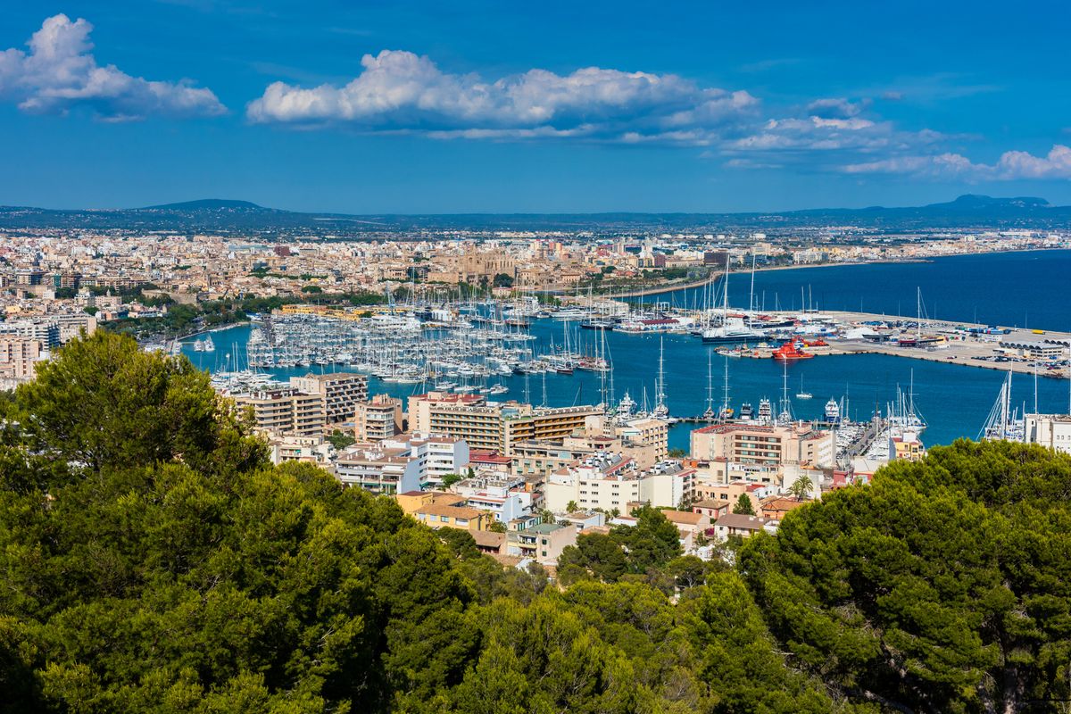 High angle view on Marina and Harbor of Palma de Mallorca
