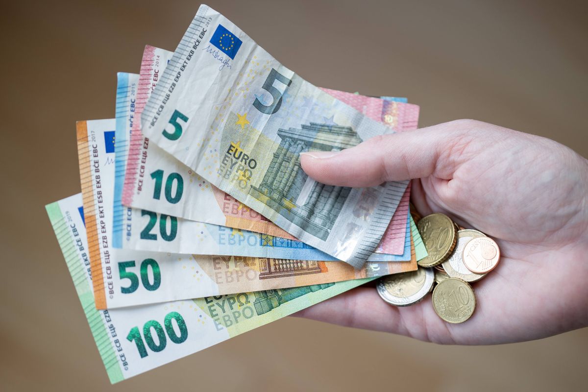 Euro notes (stock image)