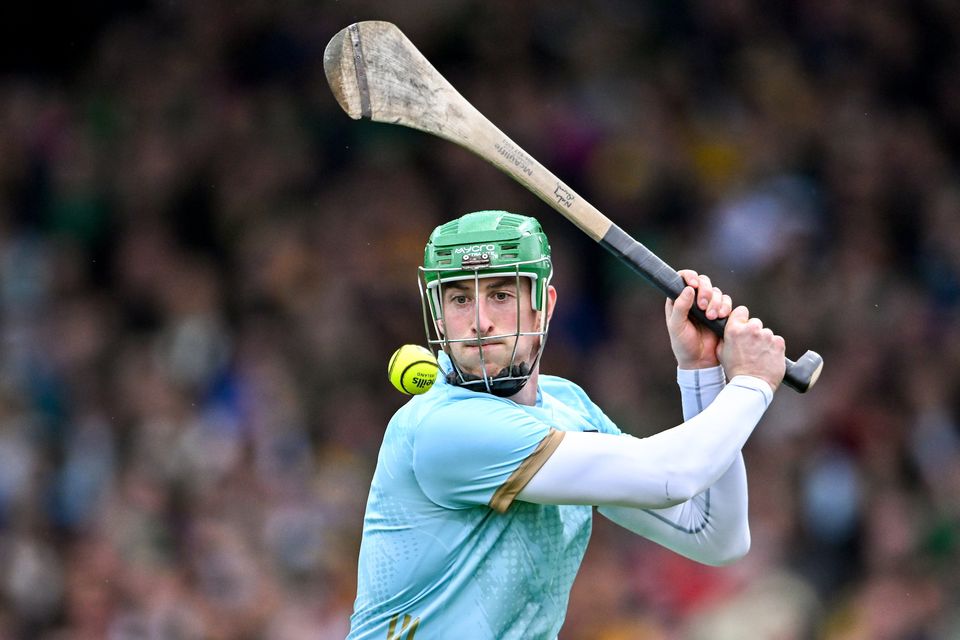 Limerick goalkeeper Nickie Quaid sets the standard.