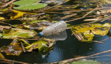 Promising breakthrough creates plastics that self-deconstruct on cue: Study
