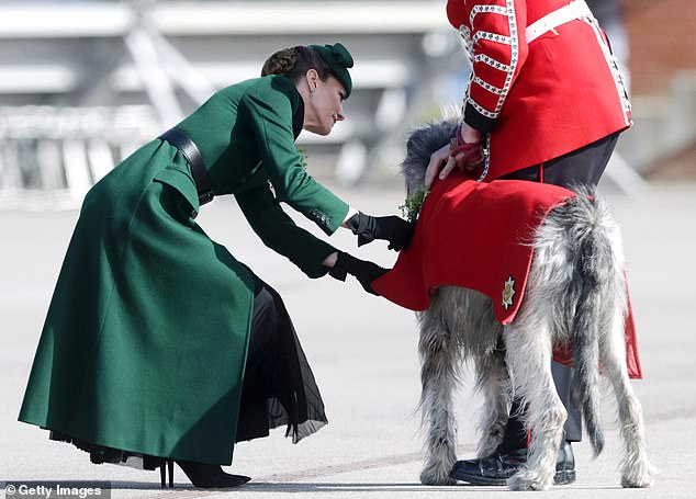 The Princess of Wales is seen meeting the regiment's mascot, an Irish wolfhound