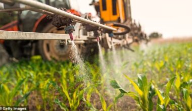 Some experts in the US describe the rise in Parkinson’s as a ‘man-made pandemic’, driven by exposure to industrial chemicals and pesticides