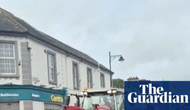 St Patrick’s Day float referencing Epstein files draws condemnation in Ireland | Ireland