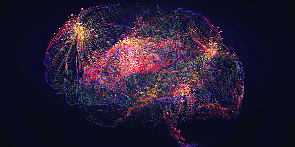 When oncogenes collide in brain development
