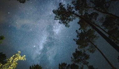 Where are the top places for stargazing and starbathing in Europe?