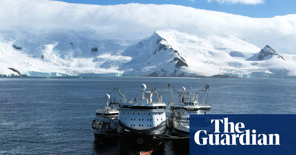 World’s largest krill harvester at centre of row over ‘blue tick’ sustainability label | Marine life