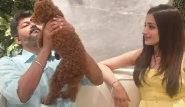 (PC: Trisha Krishnan on IG)