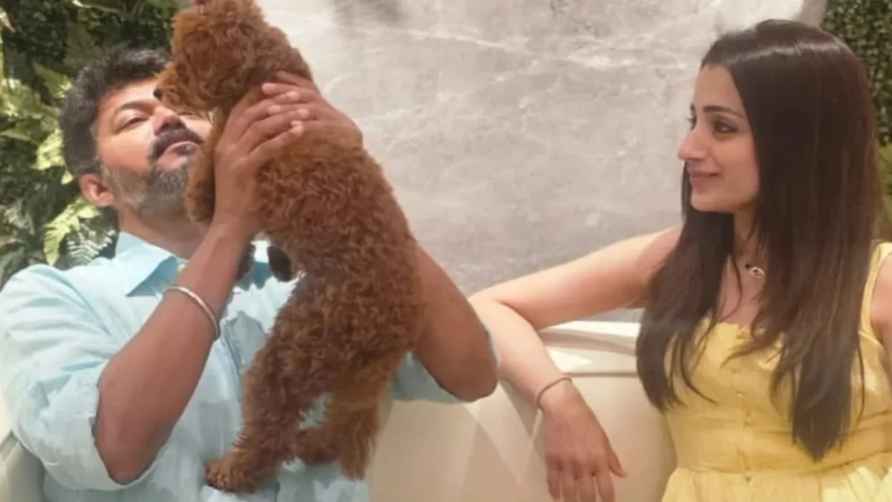 (PC: Trisha Krishnan on IG)