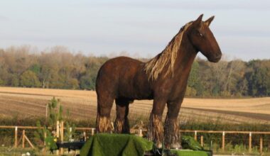 War Horse sculpture from NDR roundabouts sold at auction