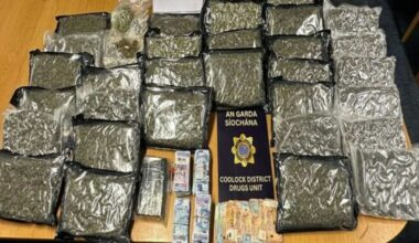 National: Gardaí arrest two men in €700,000 drugs bust