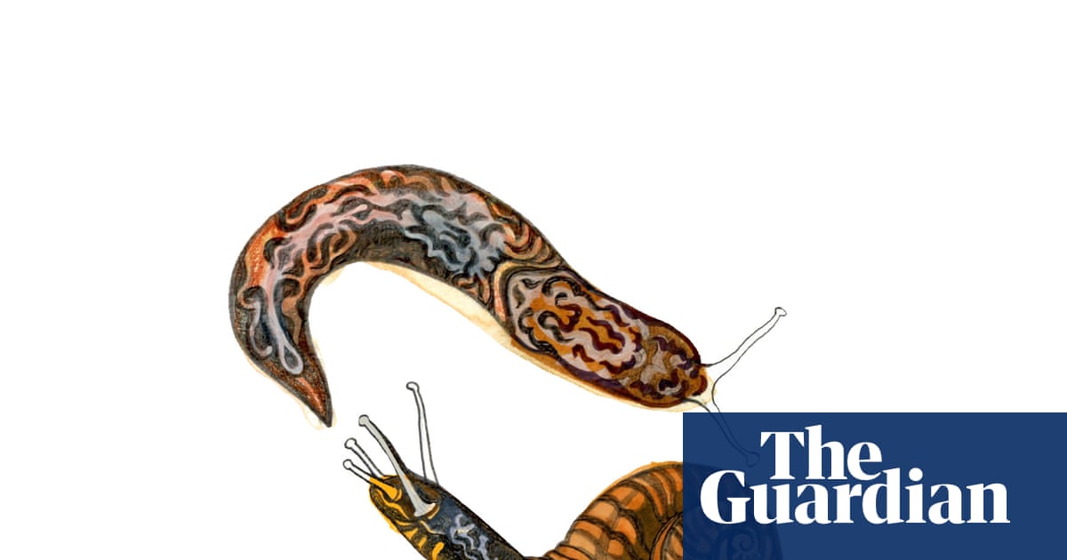 How are snails and slugs different and what do whales eat? The kids’ quiz | Family