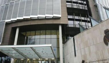 Woman (63) appears in court accused of stab murder of man after house party in Dublin