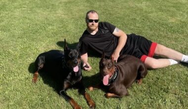 Court orders further postponement of Séamus Culleton’s deportation from US, but he must stay in detention