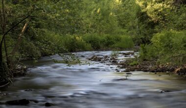 From River to Stream: How Vulnerability Becomes Illness